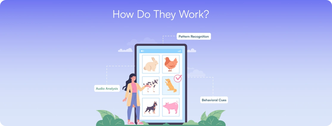 Dog Translator Apps: How Do They Work?