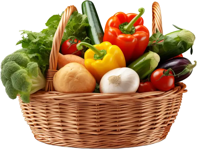 online grocery app