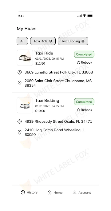 Ride-Hailing App Development