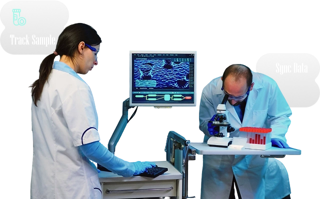 Healthcare Software Journey